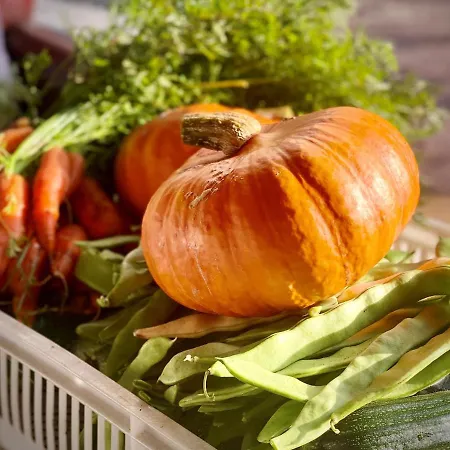 De Guldenberg 's-hertogenbosch Helvoirt Biezenmortel