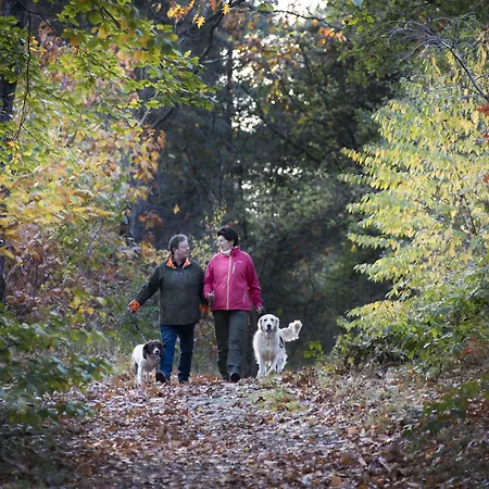 De Guldenberg 's-hertogenbosch Helvoirt 3*