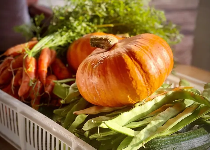 De Guldenberg 's-hertogenbosch Helvoirt Biezenmortel