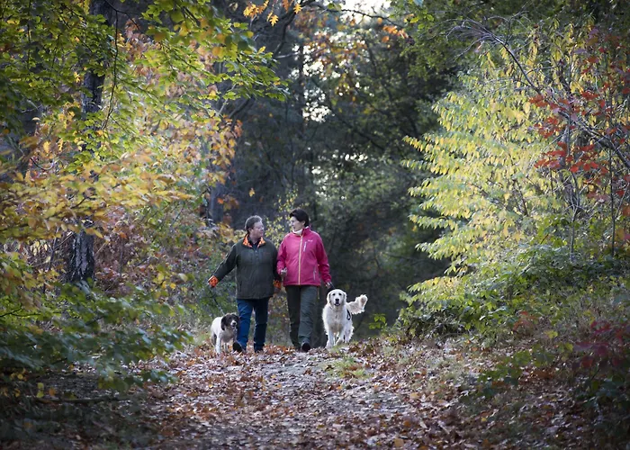 De Guldenberg 's-hertogenbosch Helvoirt 3*