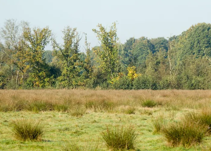 De Guldenberg 's-hertogenbosch Helvoirt Hotel 3*